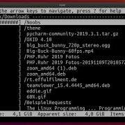 Filesize Overview Using Ncdu In Ubuntu