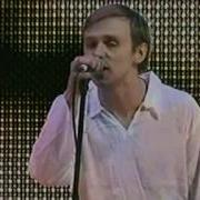 Дельфин Весна Любовь Чартова Дюжина 2004