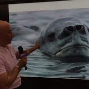 InfoComm 2017 FlatFrog Shows The Features Of The InGlass Technology And Display