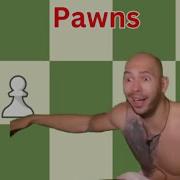 Chess Slander Andrew Tate Edition