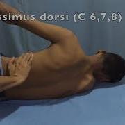 Clinical Examination Of The Brachial Plexus Injury