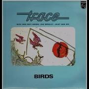 TRACE Birds 1975 Symphonic Prog Netherlands Full Album