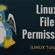 Linux File Permissions Commands With Examples Linux Tutorial 6