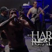 HARSH REALITY 8 10 25 The CV Collective Coachella CA FULLSET