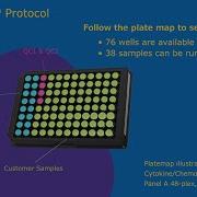 How To Run MILLIPLEX Multiplex Immunoassays