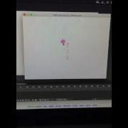 Adobe Flash Animation Buttons