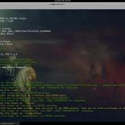 Cyber Warrior TIM Kali Linux Sqlmap Direkt Shell Upload Os Shell