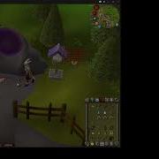 Clue Scroll Bug
