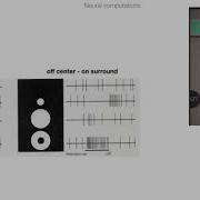 CVPR18 Tutorial Part 1 A Crash Course On Human Vision