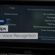 Quick Tips Dynamic Voice Recognition Bluelink