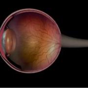 Dilation