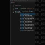 Convert A Image Into A Grayscale Image Using OpenCV