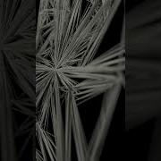 Abstract Recursive Blossom With Sidefx Houdini And Cinema 4D 3