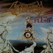 Cryptopsy Abigor
