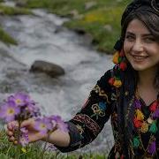 Nazdar Here Lê Lê Kürtçe Yeni Şarkı 2026 Stranên Kurdî Kürtçe Halay Düğün Kurdish Wedding