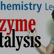 Enzyme Catalysis Mechanism Biochemistry