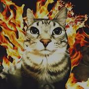 Flame