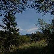 Relaxing Summer Breeze 1 Hour Sound Of Wind And Leaves Rumbling