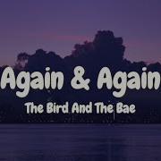 The Bird And The Bee Lyrics Again Again
