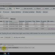 How To Check Currently Running Queries Processes In PHPmyAdmin