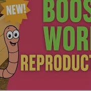 Wedge Worm Bin Setup How To Boost Worm Reproduction Harvest Castings Efficiently