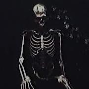 Bones TruthOfTheMatterIs Legendado