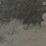 Shallou Make Believe Audio