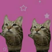 MeowSynth Caramelldansen