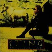 Sting Shape Of My Heart CD Ten Summoner S Tales