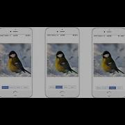 Fast Image Segmentation On Mobile Phone Using Multi Level Graph Cut