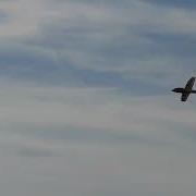 Mini Solius Slope Soaring 650mm 68 Grams