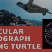 Circular Spirograph Design Using Python And Turtle
