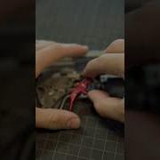 Aftermarket Trigger Install Guide