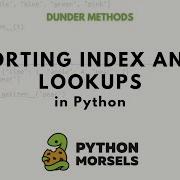 Supporting Index And Key Lookups In Python