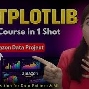 Matplotlib Full Course In 1 Shot Amazon Dataset Project Data Visualization For Data Science ML