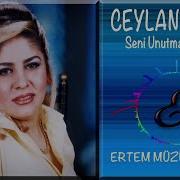 Ceylan Bulut Seni Unutmam Gerek