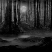 Let Me Take You There Plain White Ts