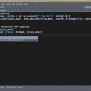 Учебное пособие по снифферу сетевых пакетов Python 2 Форматирование MAC адреса
