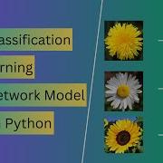 Flower Classification Project In Python Deep Learning Neural Network Model Project In Python
