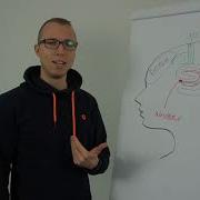 How Visualization Works Neuroscience