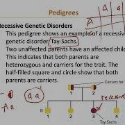 Basic Patterns Of Human Inheritance