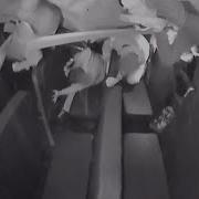 Frightening School Bus Crash Video Sparks New Safety Concerns TODAY