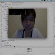 OfxCv Example Smile TEST