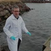 Testing The PH Of Seawater Collecting The Sample