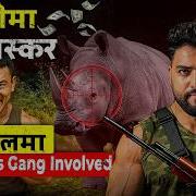 Dangerous Gang Involved अरब म ग ड तस कर Nepali Crime Story CODE RED