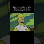 Suele Pasar Shorts Programacion Meme Programador Humor Javascript Python