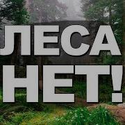 На земле ЛЕСОВ НЕТ Феноменальные факты