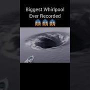 Biggest Whirlpool Ever Recorded Shorts Trending Youtubeshorts