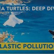 Sea Turtles And Plastic Pollution Deep Dive