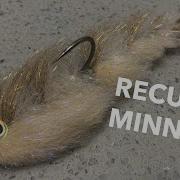 The RECURVE MINNOW A Smallie MAGNET Game Changer Variant